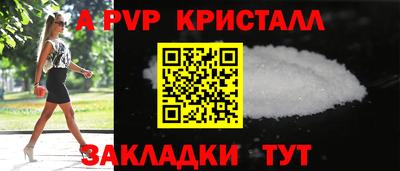 прущие грибы Можга