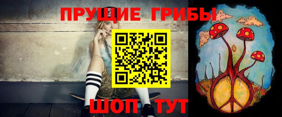 Псилоцибиновые грибы Psilocybe  Галлюциногенные грибы прущие грибы  Вход с VPN  Шали 